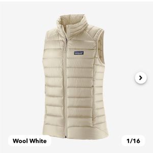 PATAGONIA Down Vest